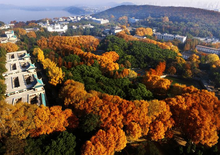 武漢大學宣布"無需預約"之后:全國媒體點贊,學生認為"一些問題得到了