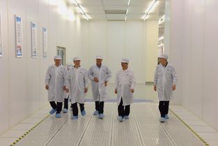 政協常委陳清泰 持續加大對武漢國家存儲器基地項目投入