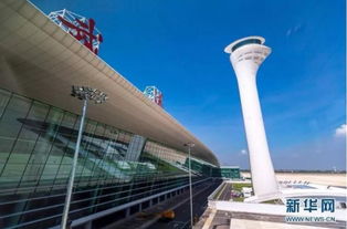 武漢，網紅城市的魅力正在綻放