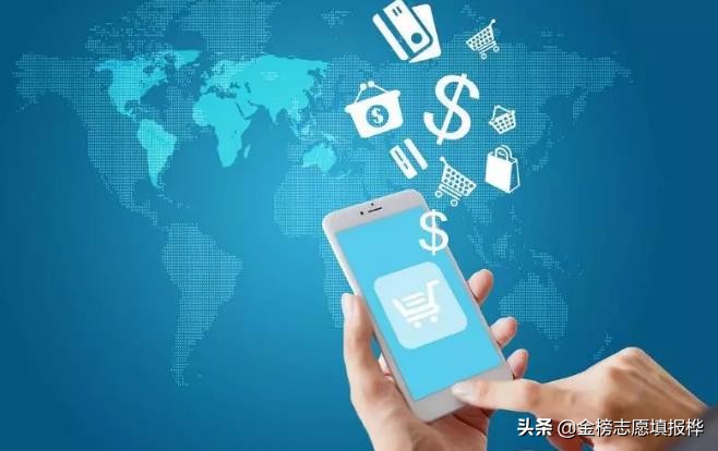 電子商務(wù) 平臺開發(fā)與運(yùn)營的核心解析